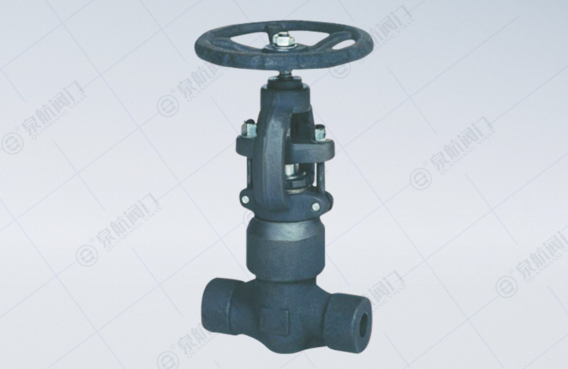 Since Seal Globe Valve