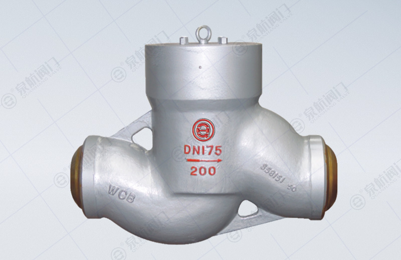 Power Station Lift/Swing Check Valve 