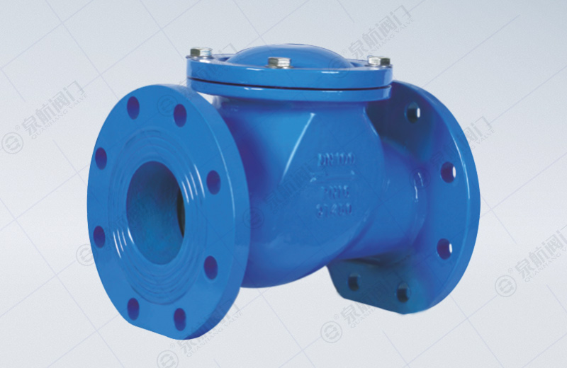 Ball Type Check Valve