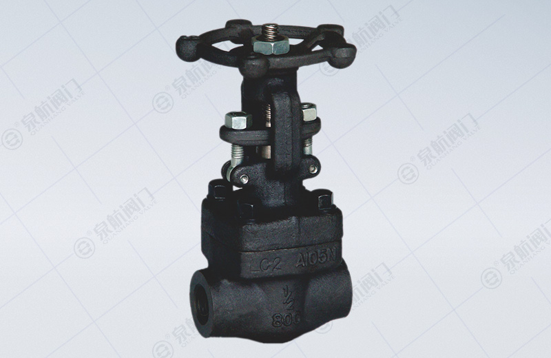  Forged Steel Internal Thread Gate Valve